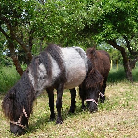 Fewo Naehe Seenlandschaft - Belantis Lipsk Zewnętrze zdjęcie