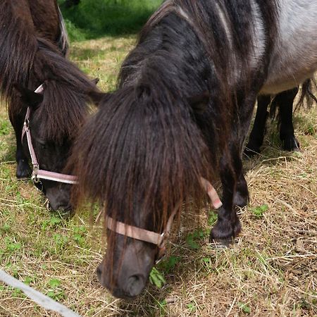 Fewo Naehe Seenlandschaft - Belantis Lipsk Zewnętrze zdjęcie